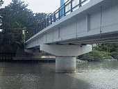 橋脚の補強／焼津市田尻／約10か月